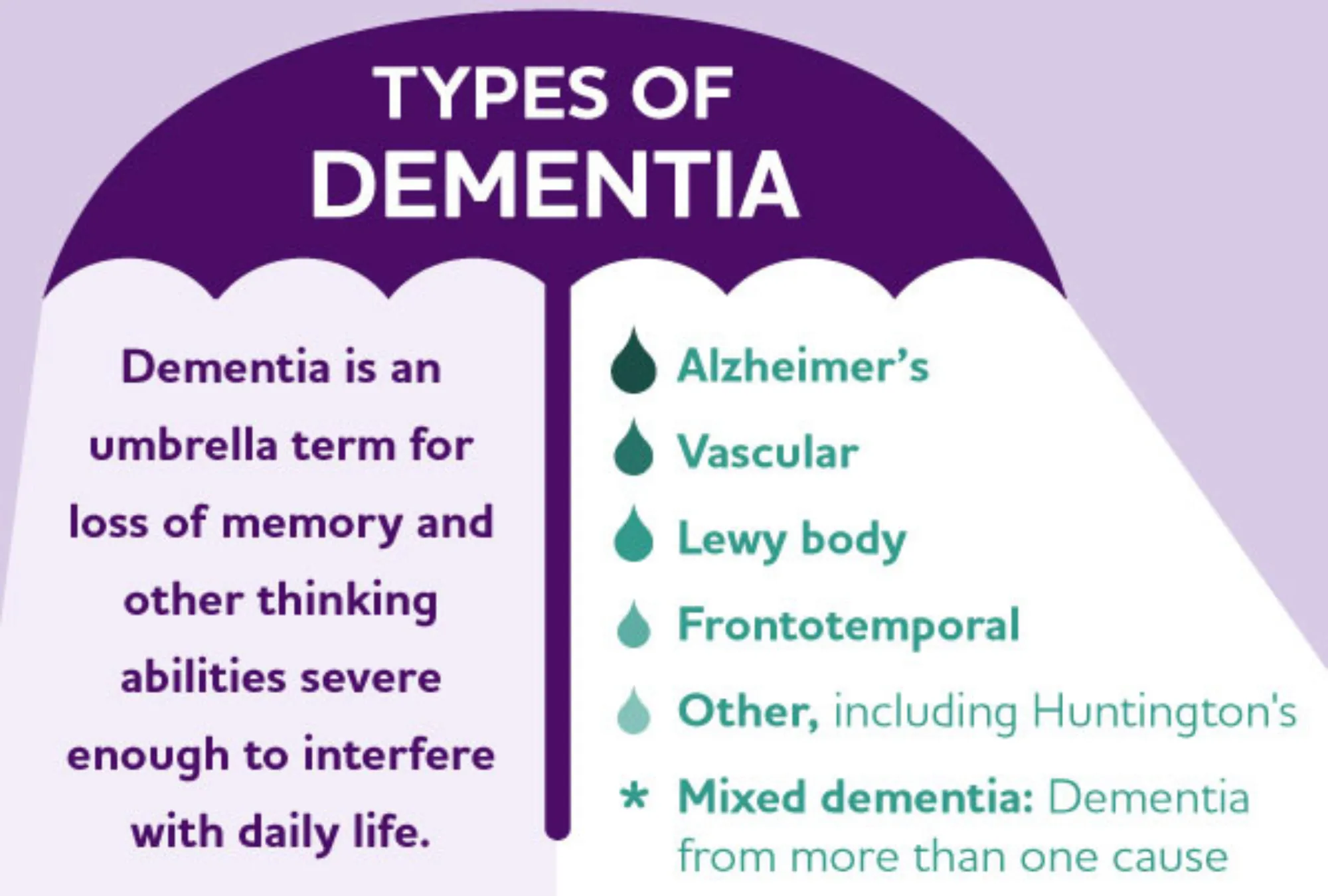types of dementia: a diagram showing the differences between Alzheimer's and dementia