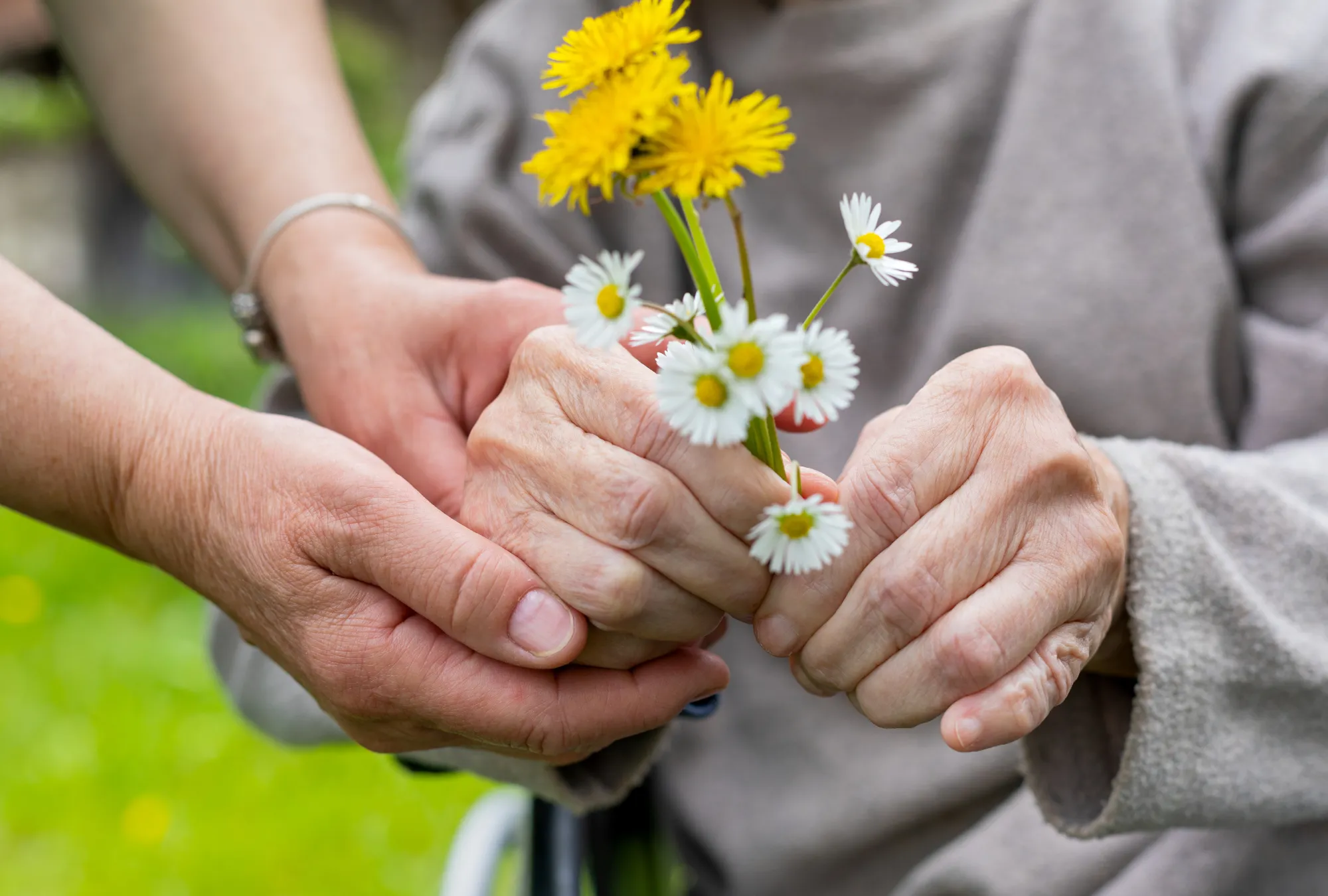 hands helping elderly hands hold a small bouquet of flowers