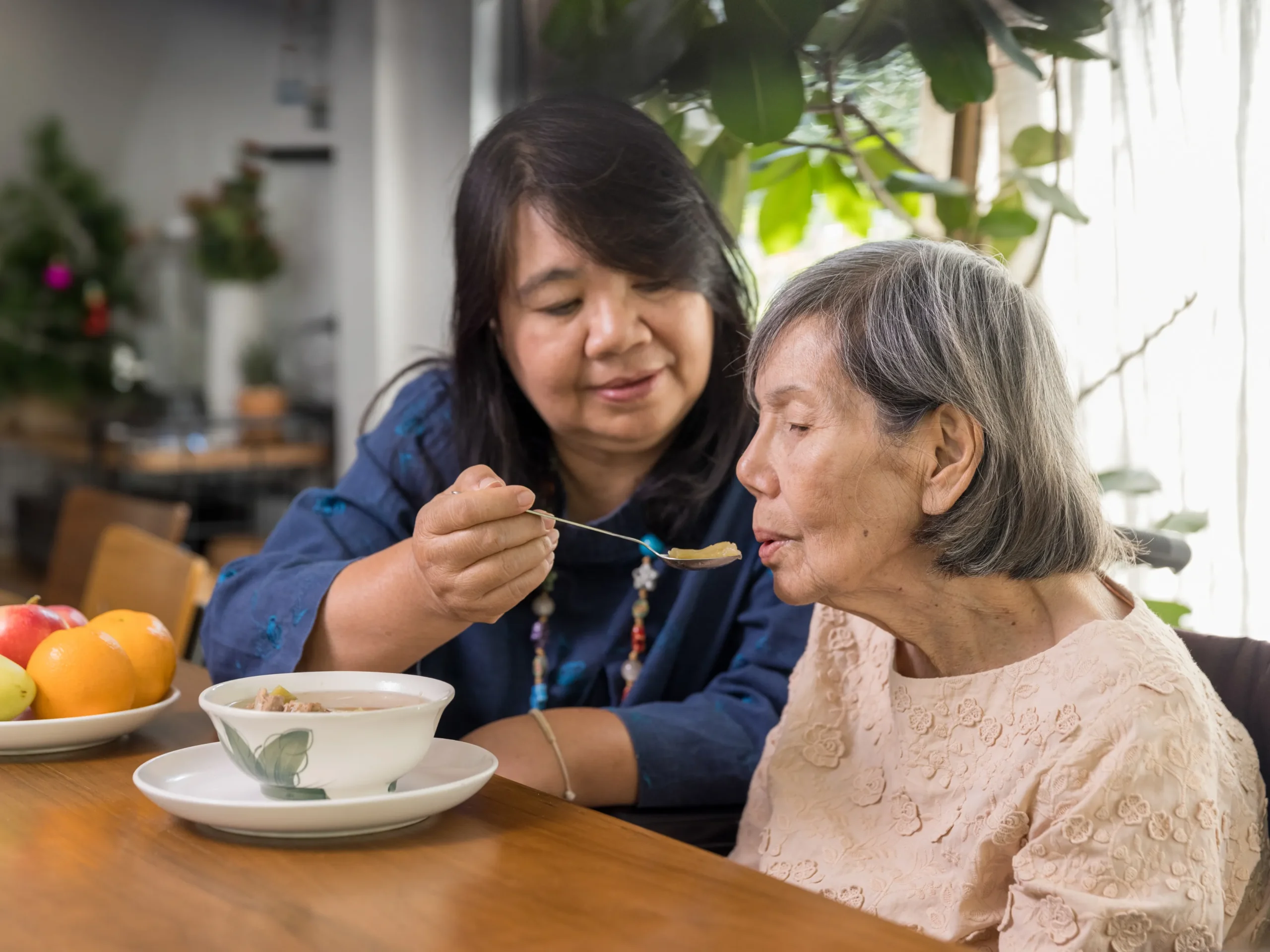 woman feeding soup to elderly woman