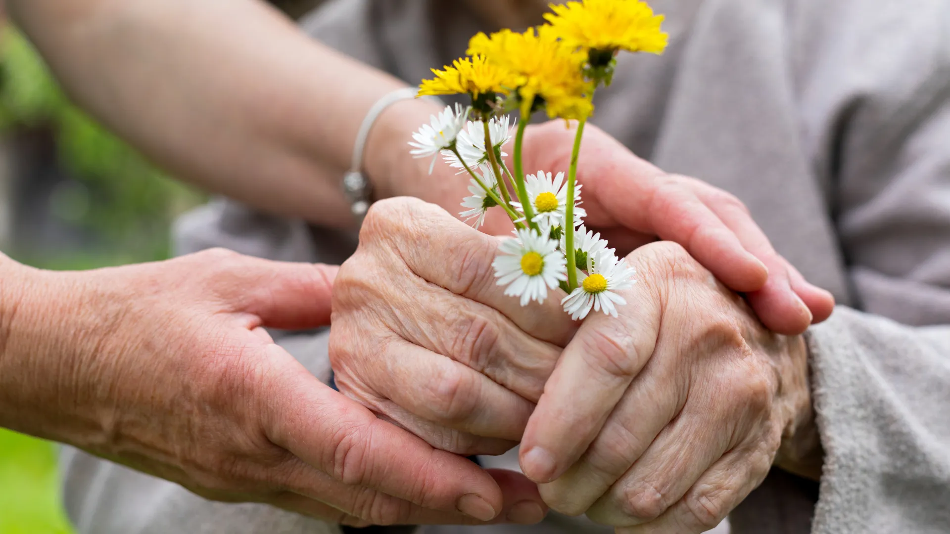 elderly person holding flowers